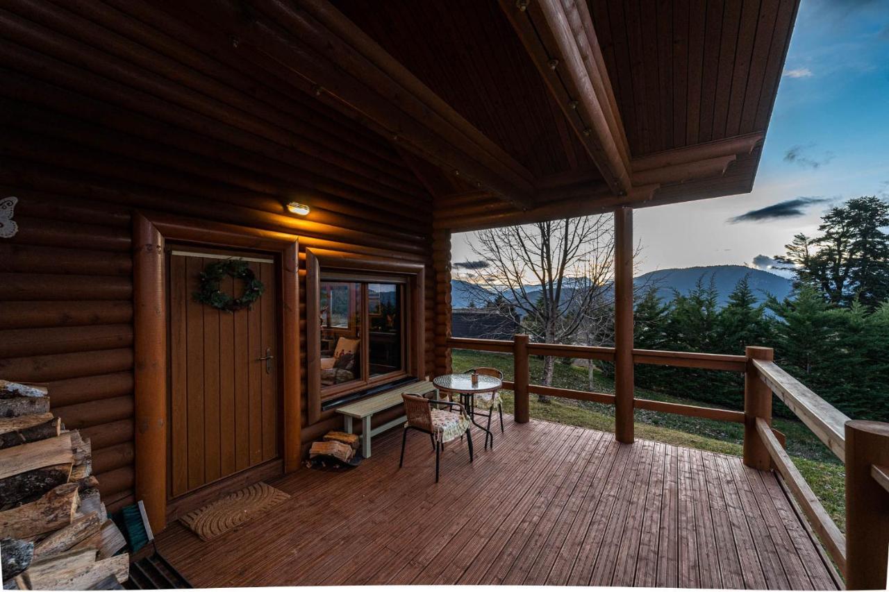 Chalet The Flysch *